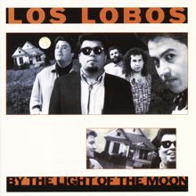 Los Lobos: One Time One Night