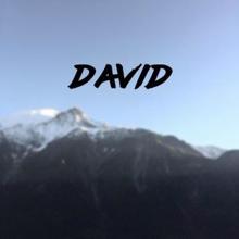 David: Брат (Original Mix)