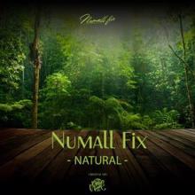 Numall Fix: Natural (Original Mix)