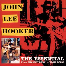 John Lee Hooker: I'm Bad Like Jesse James (Live At Cafe Au-Go-Go/1966)