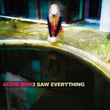 Addie Brik: I Saw Everything