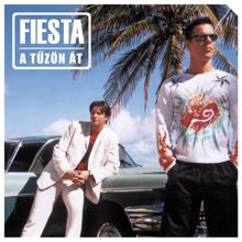 FiESTA: A Tuzon At