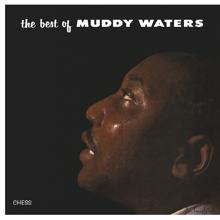 Muddy Waters: Honey Bee