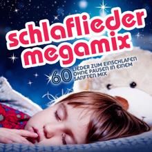 Simone Sommerland, Karsten Glück & die Kita-Frösche: Schlaflieder Megamix