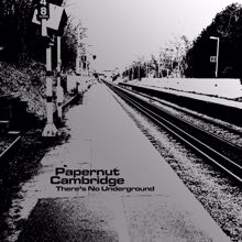 Papernut Cambridge: There's No Underground