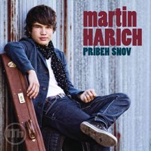 Martin Harich: Nezvestna