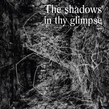 Various Artists: The Shadows In Thy Glimpse: Bedouin Records Selected Discography 2016-2018