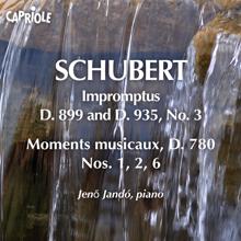 Jenő Jandó: Schubert, F.: Impromptus, D. 899 and D. 935, No. 3 / 6 Moments Musicaux (Excerpts)