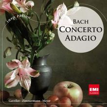 Frank Peter Zimmermann/Jeffrey Tate: Bach, J.S.: Violin Concerto No. 2 in E Major, BWV 1042: II. Adagio