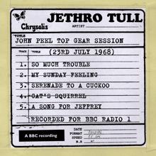 Jethro Tull: John Peel Top Gear Session (23rd July 1968)