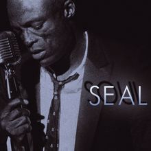 Seal: I'm Still in Love with You