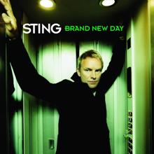 Sting: After The Rain Has Fallen