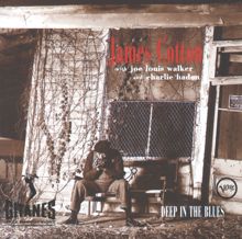 James Cotton: Dealin' With The Devil