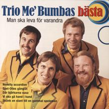 Trio me' Bumba: Vi ska gå hand i hand (2002 Remaster)