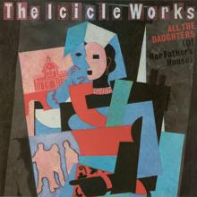 The Icicle Works: Mr. Soul