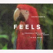 Calvin Harris feat. Pharrell Williams, Katy Perry & Big Sean: Feels