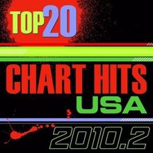 The CDM Chartbreakers: Top 20 Chart Hits USA - 2010.2
