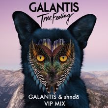 Galantis: True Feeling (Galantis & shndō VIP Mix)