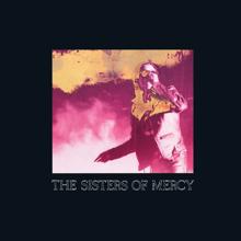 The Sisters Of Mercy: When You Don't See Me