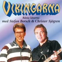 Vikingarna: Så vi möts igen (The Song That I Sing)