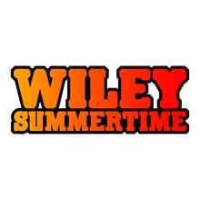 Wiley: Summertime (Radio Edit)