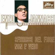 Enzo Jannacci: Non è vero