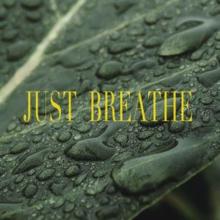 Rain Sounds: Just Breathe