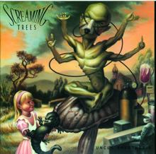 Screaming Trees: Uncle Anesthesia