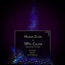 Milana Zilnik: 11Pm. Calma