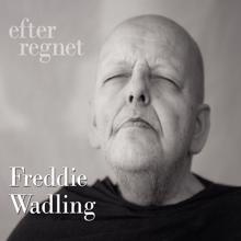 Freddie Wadling: Efter regnet