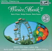 Robert Stolz: Wiener Musik Vol. 12