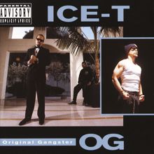 Ice T: The House