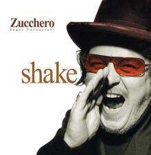 Zucchero: Shake