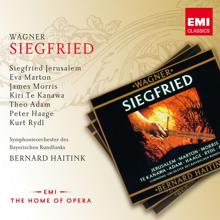 James Morris/Peter Haage/Theo Adam/Kurt Rydl/Jadwiga Rappé/Eva Marton/Siegfried Jerusalem/Dame Kiri Te Kanawa/Symphonieorchester des Bayerischen Rundfunks/Bernard Haitink: Siegfried, Act 2, Scene 2: Ist mir doch fast (Siegfried/Waldvogel)