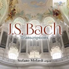 Stefano Molardi: Kommst du nun, Jesu von Himmel herunter, BWV 650