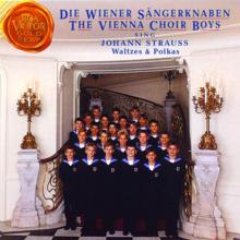 Wiener Sangerknaben: The Vienna Choir Boys Sing Johann Strauss Waltzes and Polkas