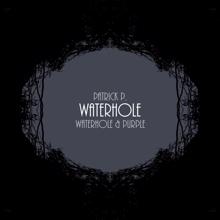 Patrick P.: Waterhole