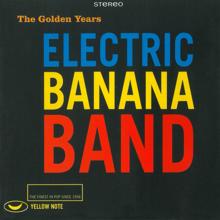 Electric Banana Band: Alf Lundin