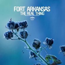Fort Arkansas: The Real Thing