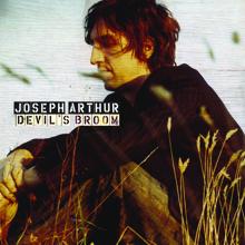 Joseph Arthur: Devil's Broom (7")