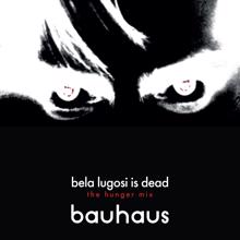 Bauhaus: Bela Lugosi's Dead (The Hunger Mix)