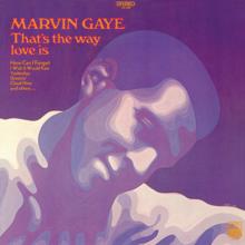 Marvin Gaye: That's The Way Love Is