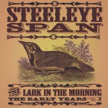 Steeleye Span: Jigs: Bryan O'Lynn / The Hag With the Money