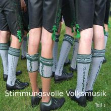 Die lustigen Vagabunden: Stimmungsvolle Volksmusik - Teil 1