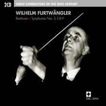 Wilhelm Furtwängler: Wilhelm Furtwängler: Great Conductors of the 20th Century