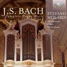 Stefano Molardi: Chorale Preludes, BWV 690-713: Ivx. Gottes Sohn ist kommen BWV 703