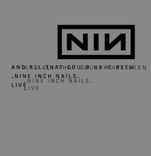 Nine Inch Nails: And All That Could Have Been (Album Version) (And All That Could Have Been)