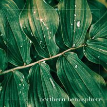 Rain Sounds: Northern Hemisphere