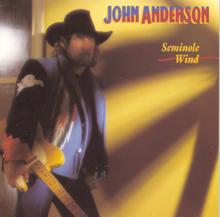 John Anderson: Seminole Wind