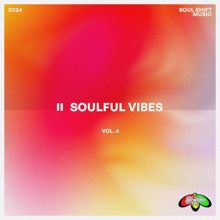 Various Artists: Soulful Vibes Vol. 6